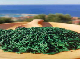 alga spirulina per dimagrire